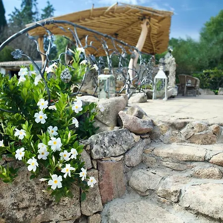 Sweet With Swimming Pool By Er شقة